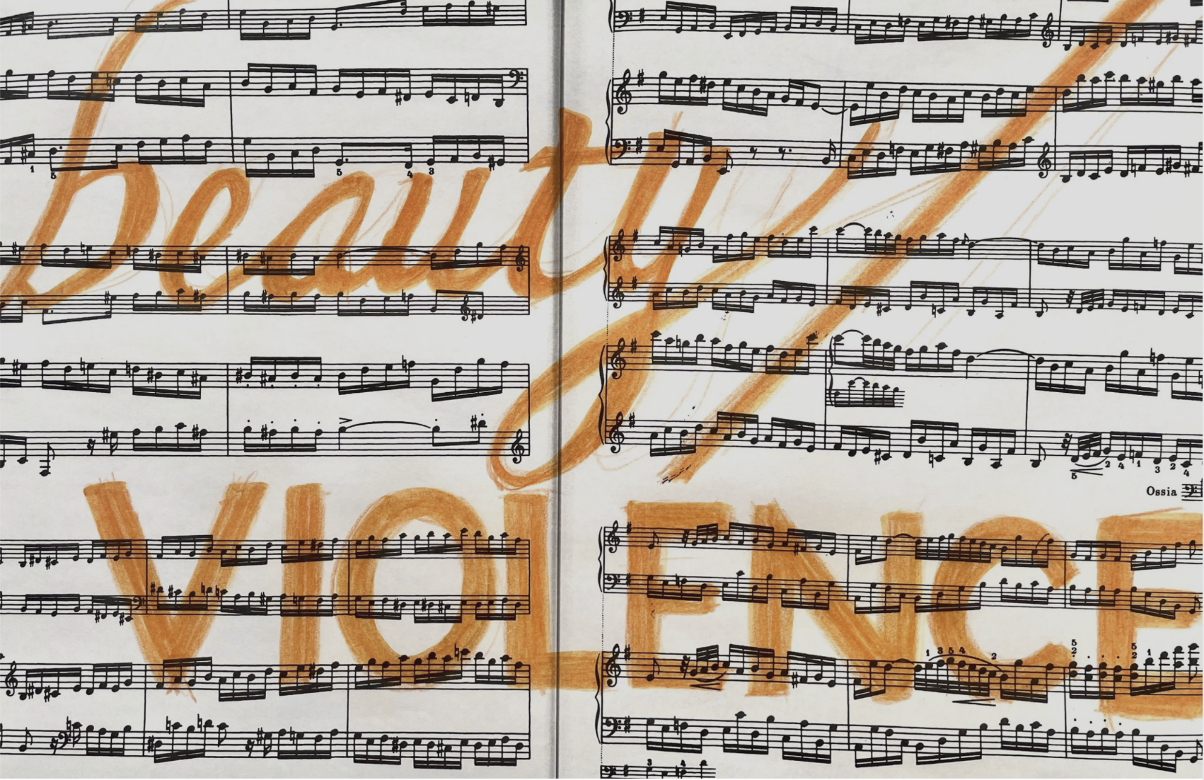 Carol Zou: beauty/violence: aria